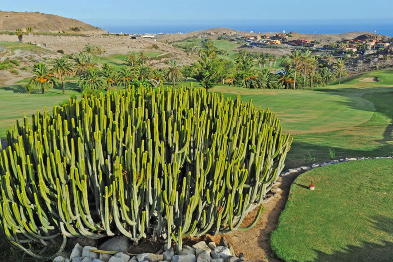 Salobre Las Terrazas 10 Maspalomas  Buitenkant foto
